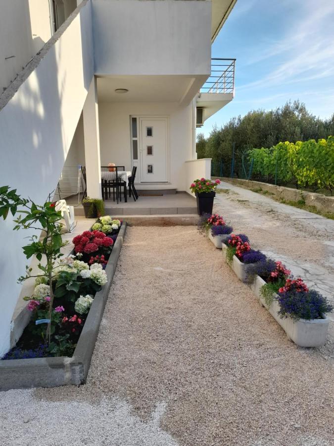 Apartmani Sara Bibinje Dış mekan fotoğraf